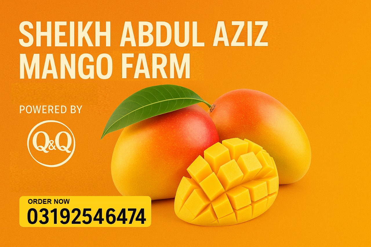 Sheikh Abdul Aziz Mango Farm By Q&Q