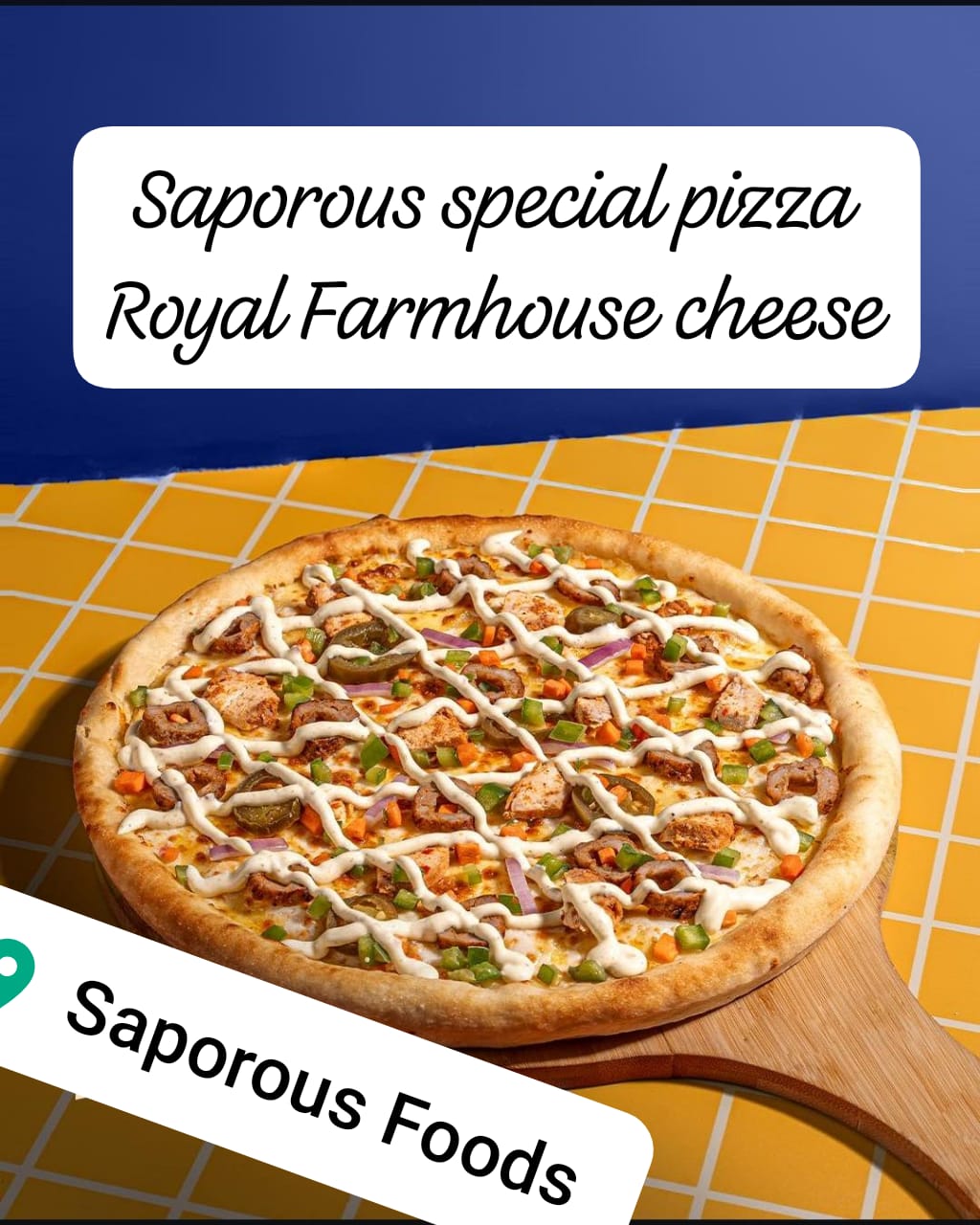 Layyah City - Saporous Foods (Pulao Kabab)  - pizza